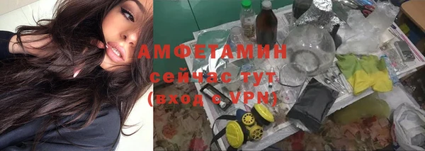 гашиш Богданович